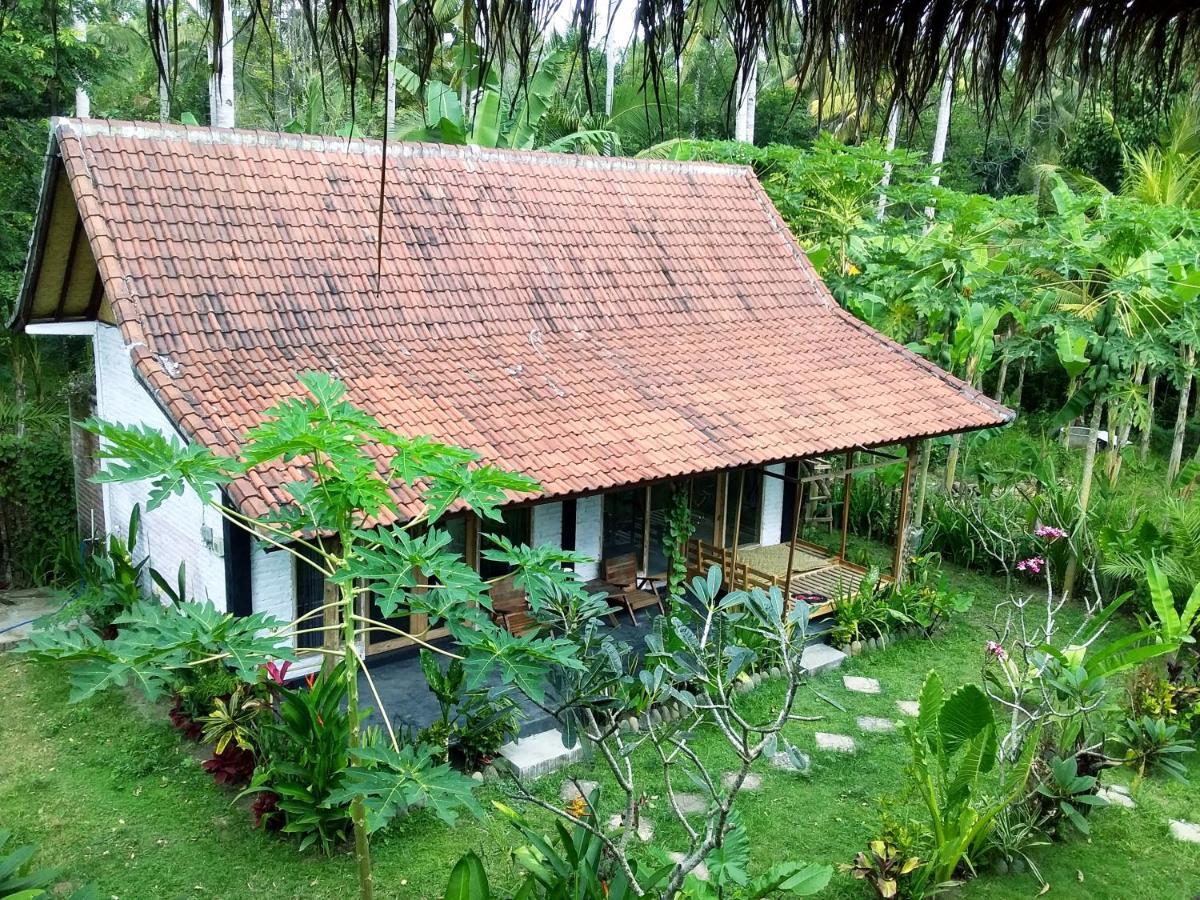 Jungle House - Surf & Stay Палакан Екстер'єр фото