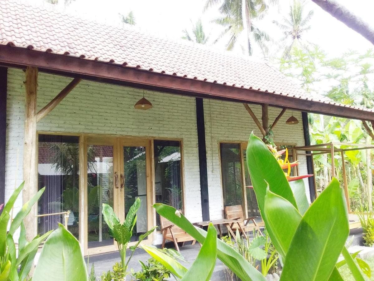 Jungle House - Surf & Stay Палакан Екстер'єр фото