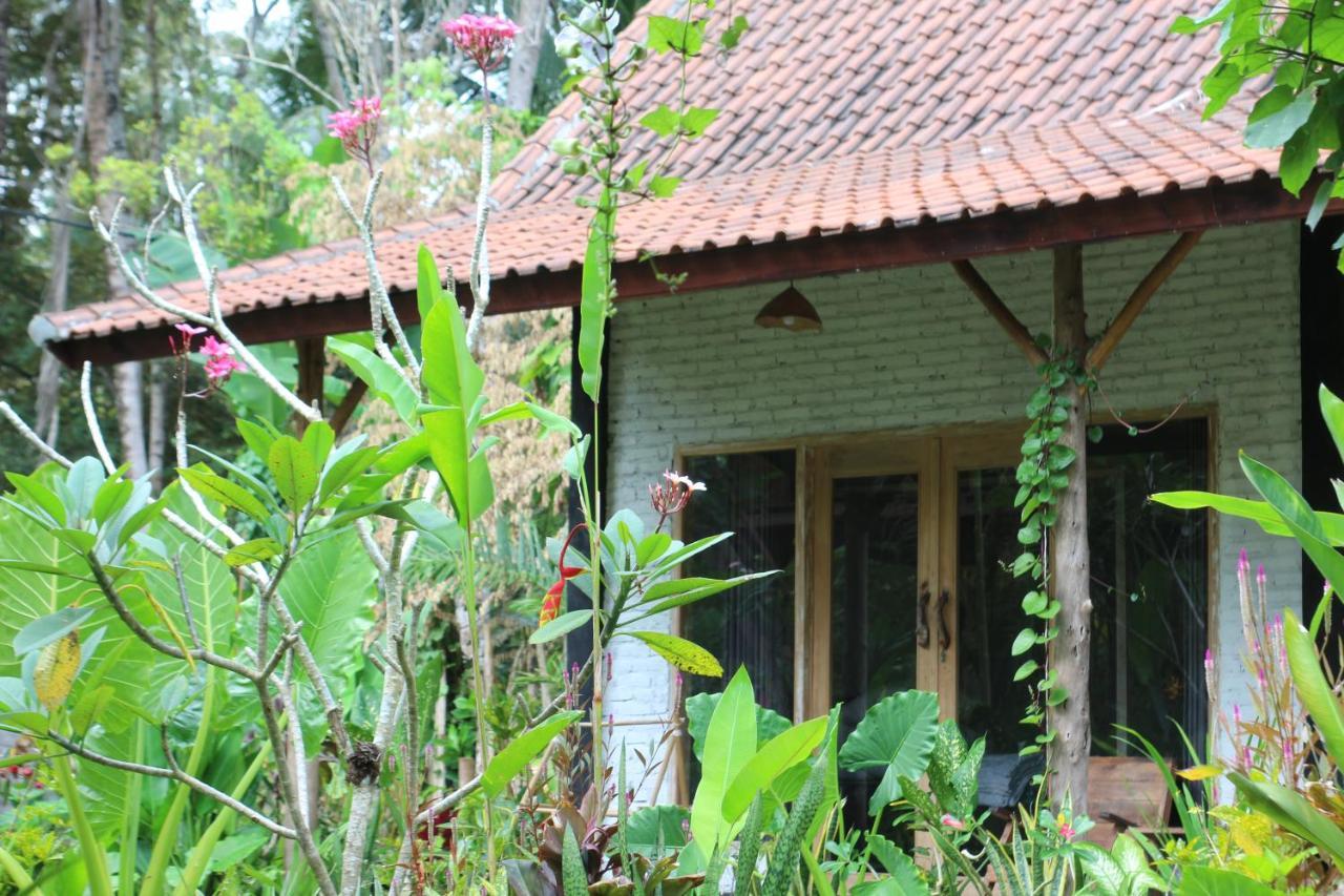 Jungle House - Surf & Stay Палакан Екстер'єр фото
