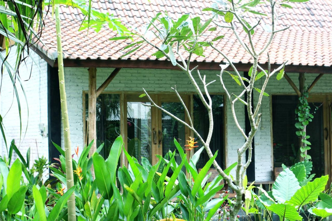 Jungle House - Surf & Stay Палакан Екстер'єр фото