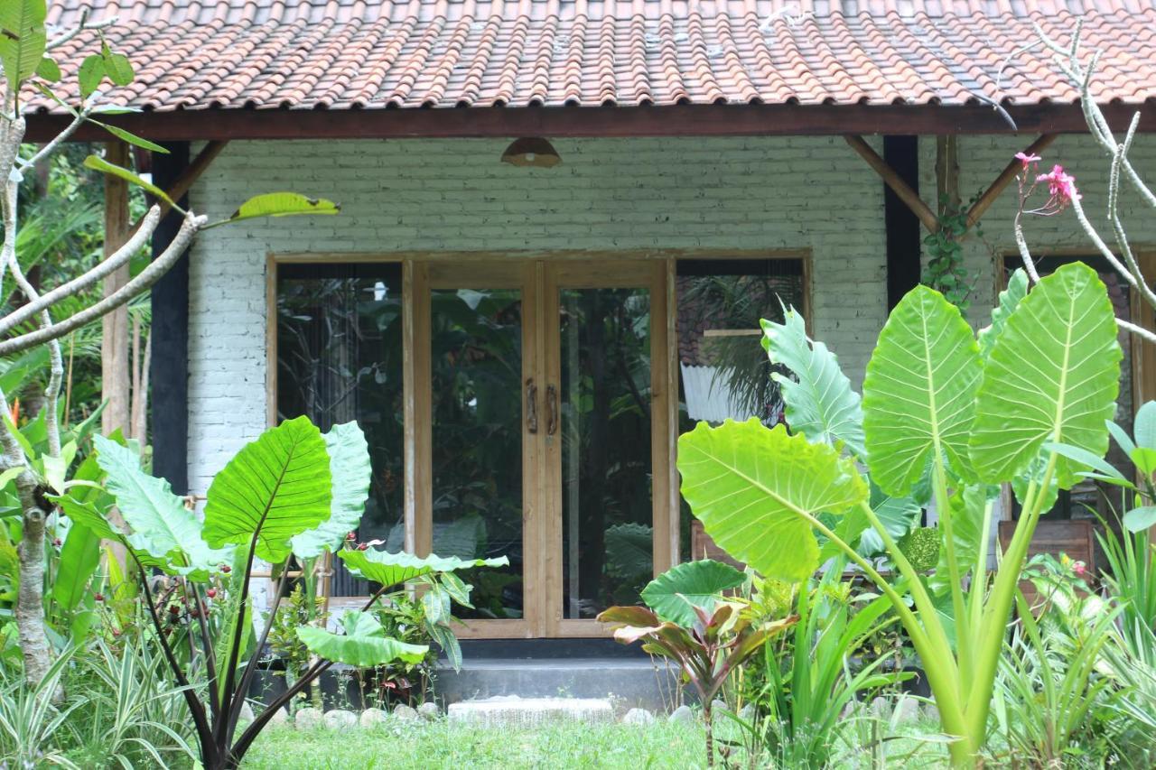 Jungle House - Surf & Stay Палакан Екстер'єр фото