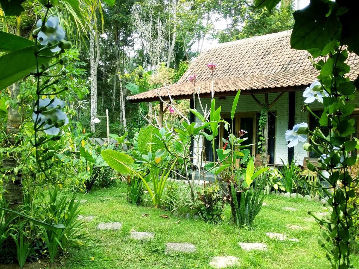 Jungle House - Surf & Stay Палакан Екстер'єр фото