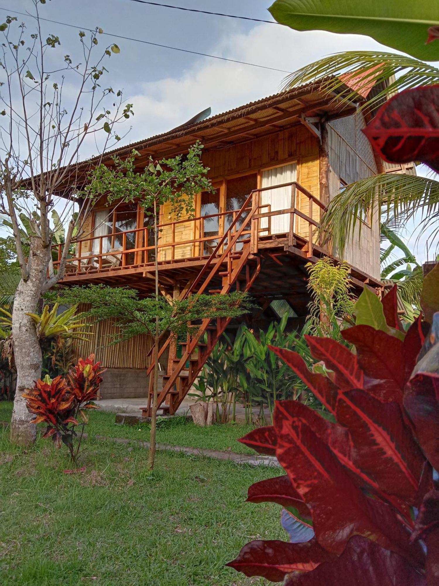 Jungle House - Surf & Stay Палакан Екстер'єр фото